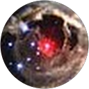 Donna Magrum profile picture