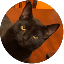 Taylor Hill profile picture