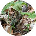 Mindy Waldron profile picture